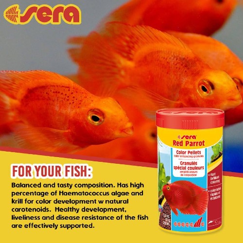 Buy SERA Red Parrot